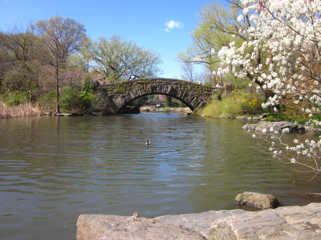 New YorkCity Central Park